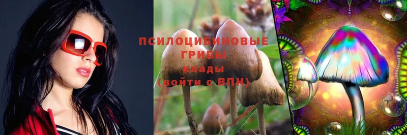 Псилоцибиновые грибы MAGIC MUSHROOMS Норильск